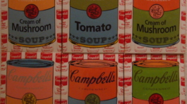 Campbell's Soup petit